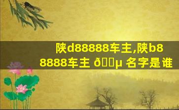 陕d88888车主,陕b88888车主 🐵 名字是谁